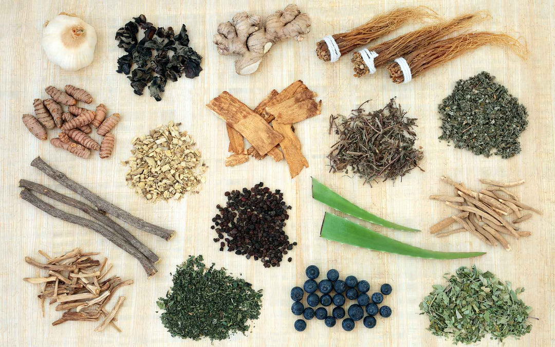 ADAPTOGENIC HERBS