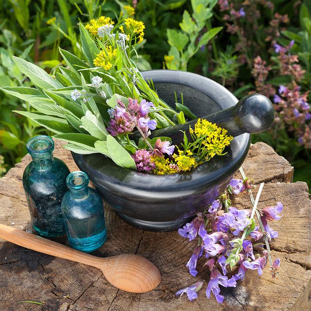 Herbs H-N
