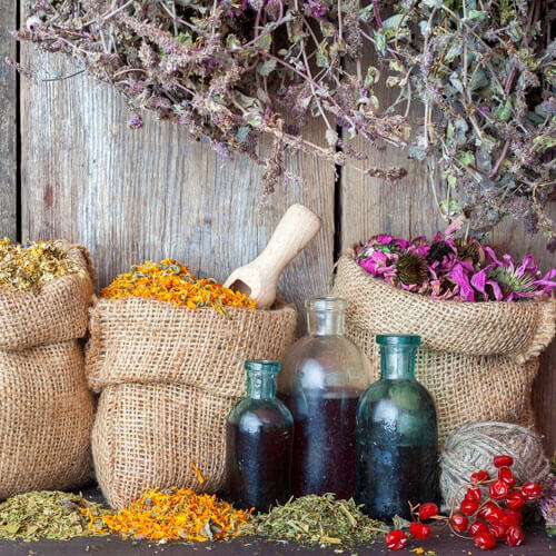 Herbs O-Z