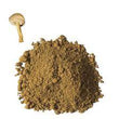 Agaricus Mushroom Powder