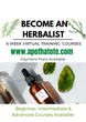 BECOME AN HERBALIST: Beginner, Intermediate & Advanced Level Virtual Training Courses