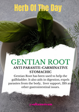 Load image into Gallery viewer, Gentian Root
