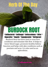 Load image into Gallery viewer, Burdock Root

