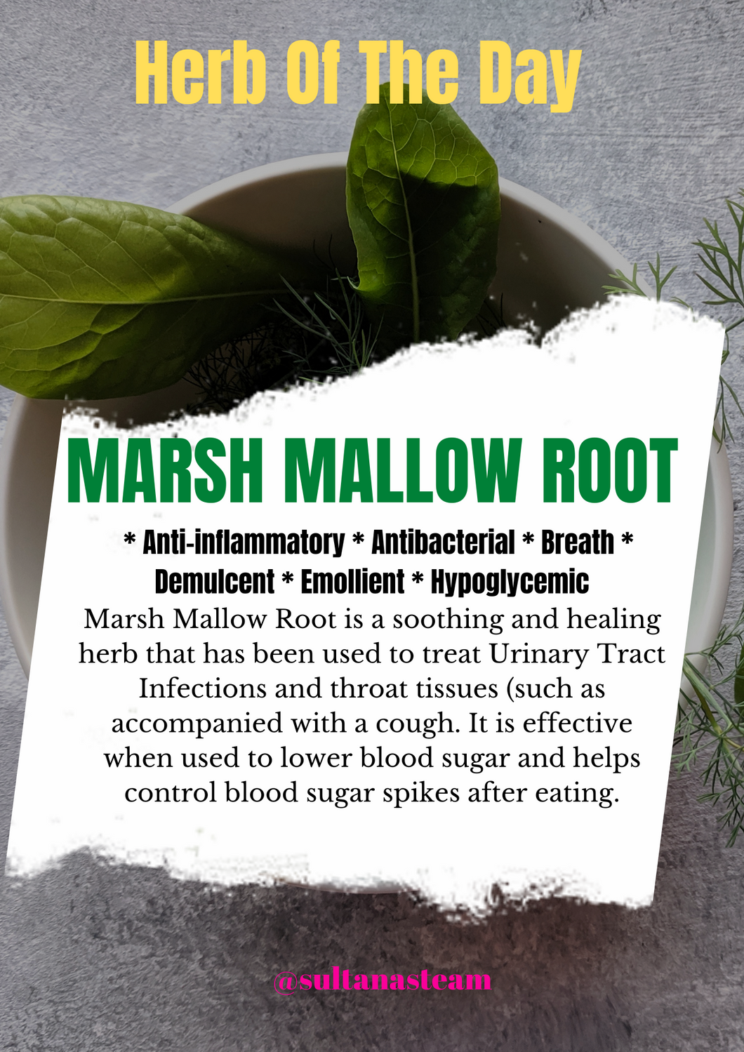 Marsh Mallow Root