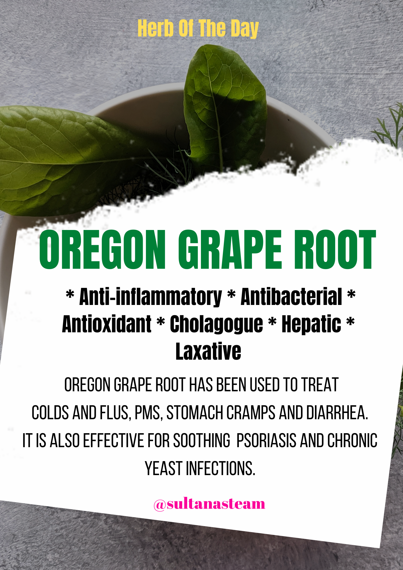 Oregon Grape Root – A Cute Wellness Co