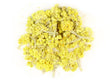 Life Everlasting (Helichrysum)