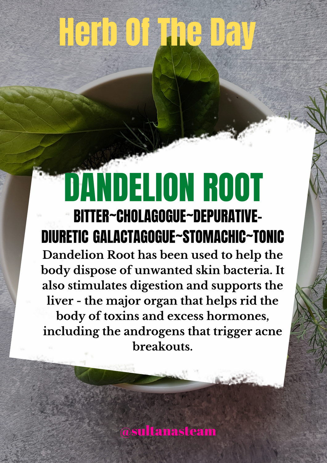 Dandelion Leaf/Root